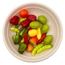 24OZ Natural Pulp Bowl