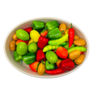 26OZ Bagasses Burrito Oval Bowl