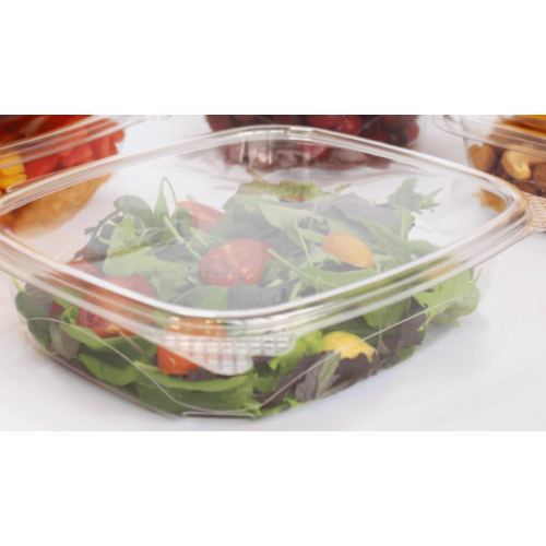 HC-24 Clear Hinged Container
